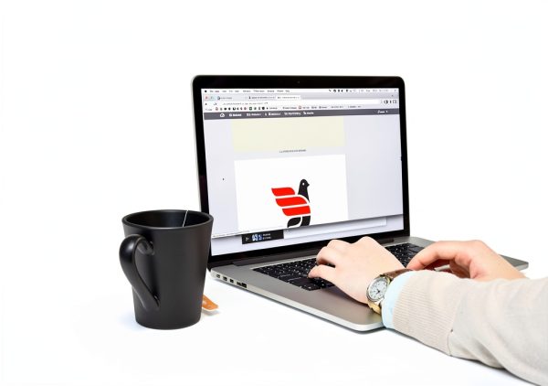 Office 2019 Training Software by Individual Software-7